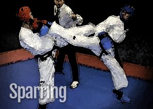 Sparring